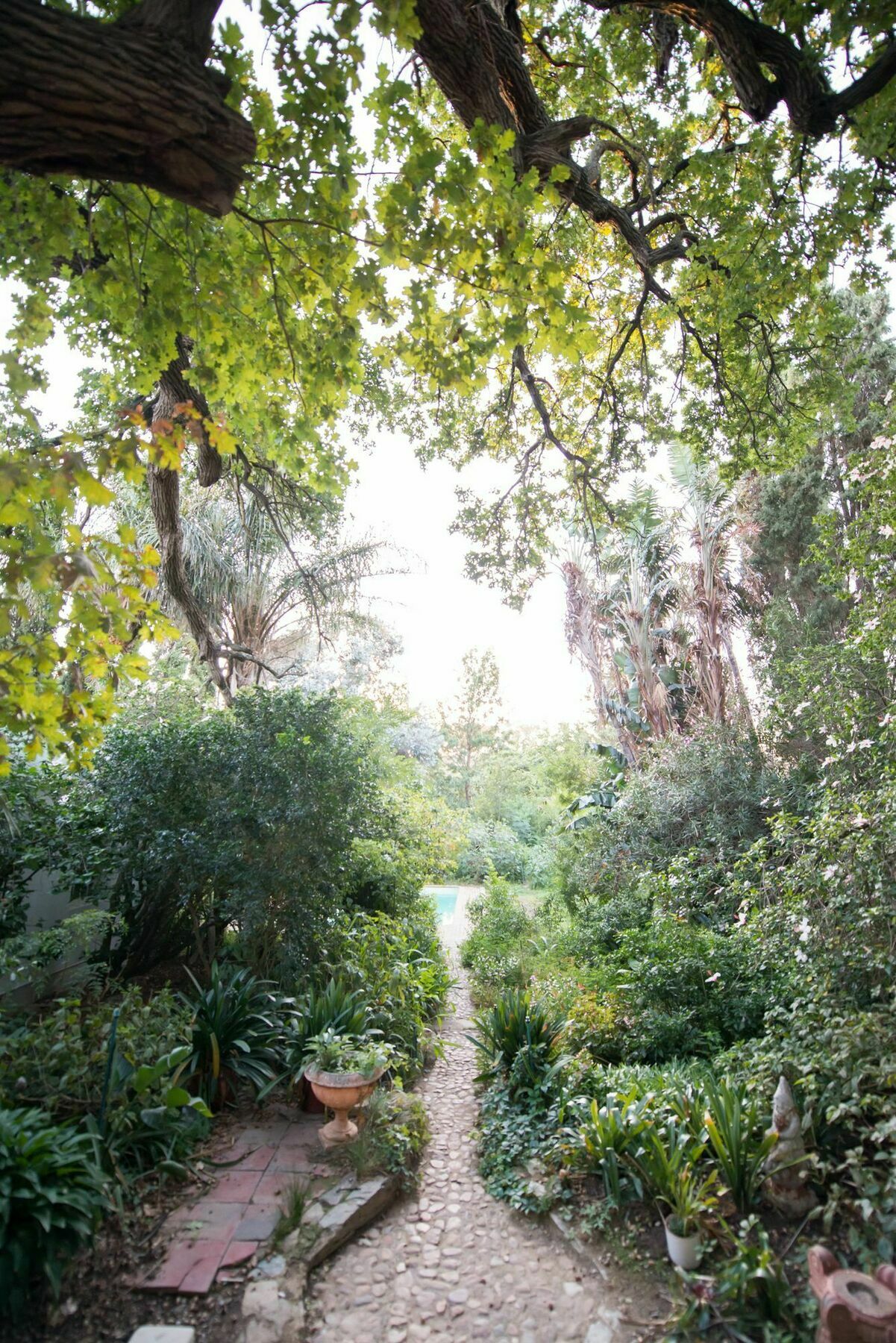 Tulbagh Country Guest House - Cape Dutch Quarters 外观 照片